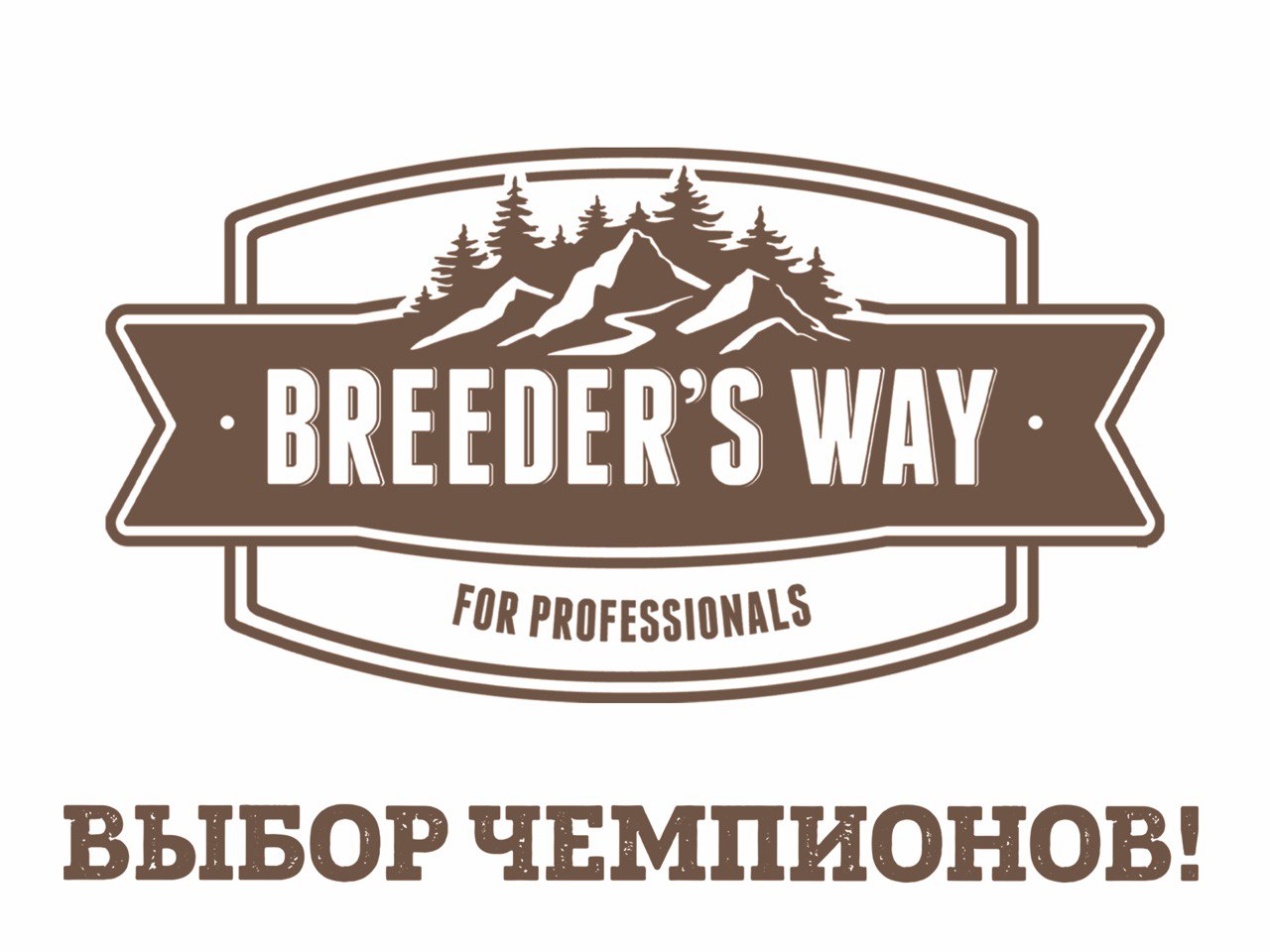 Breeder's Way — выбор чемпионов